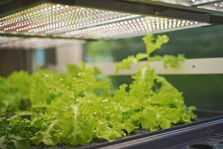 Museo de la biodiversidad