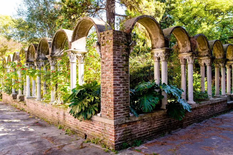 Belleza en entorno natural