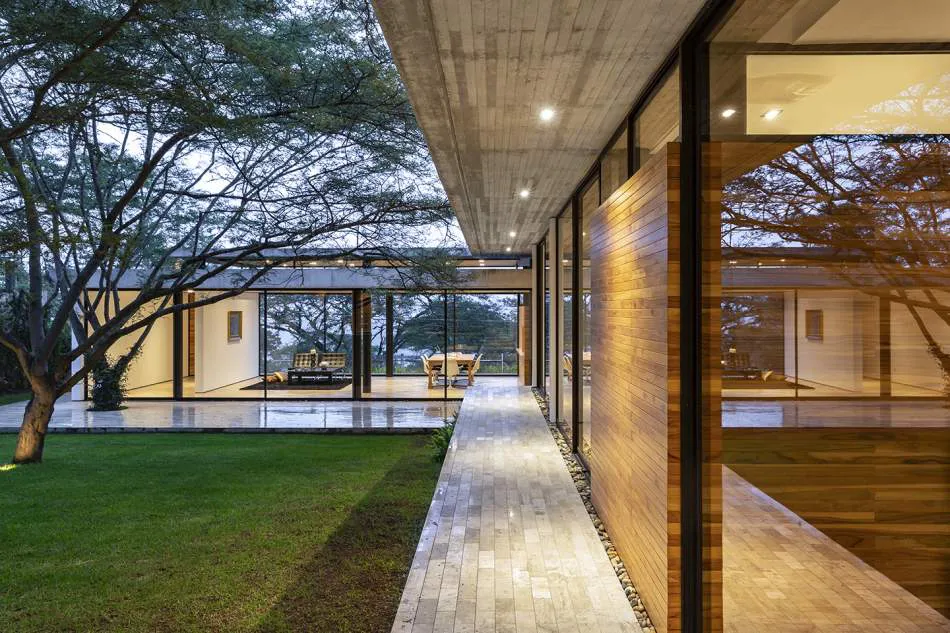 Vivir entre los árboles