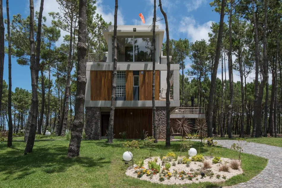 Entre el bosque y el mar