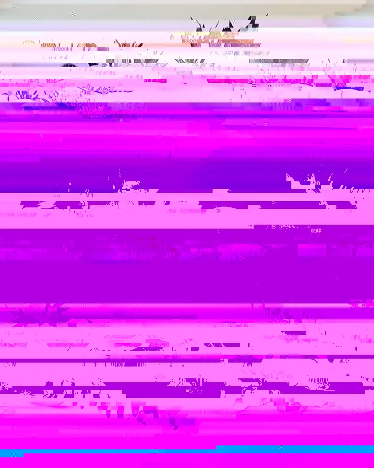 10 opciones para cultivar en casa