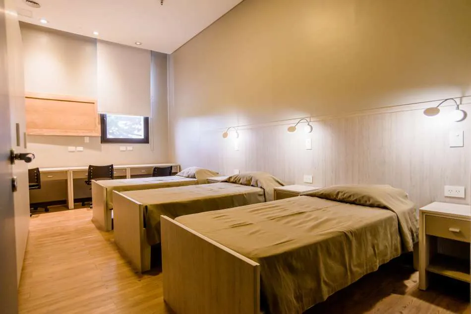 Tradición y renovación