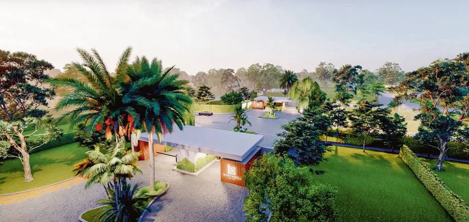 Descubrí North Bell