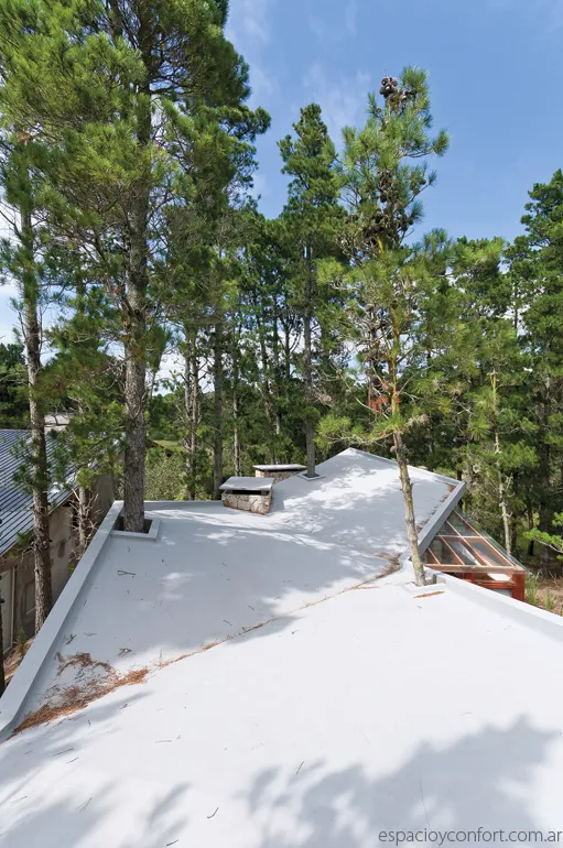 Lo técnico y lo artístico