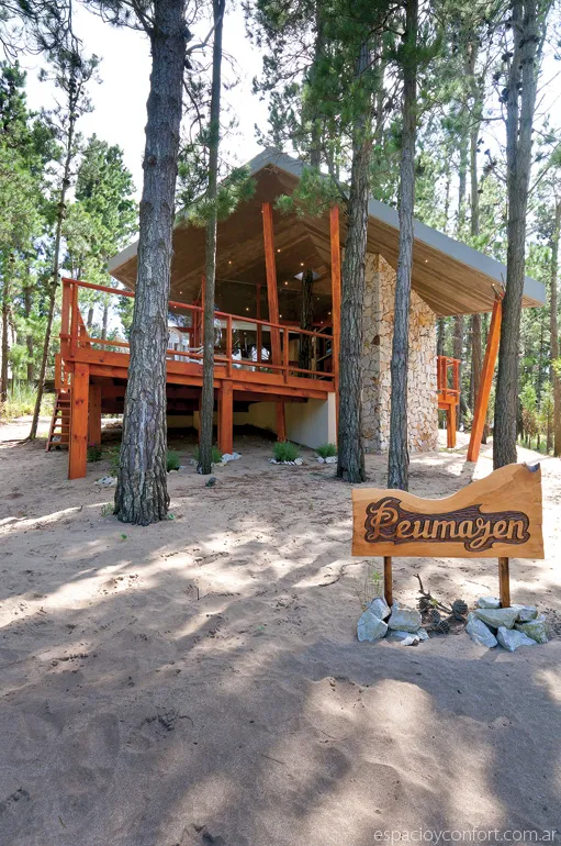 Lo técnico y lo artístico