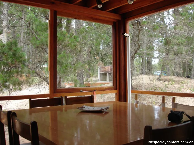 En el silencio del bosque