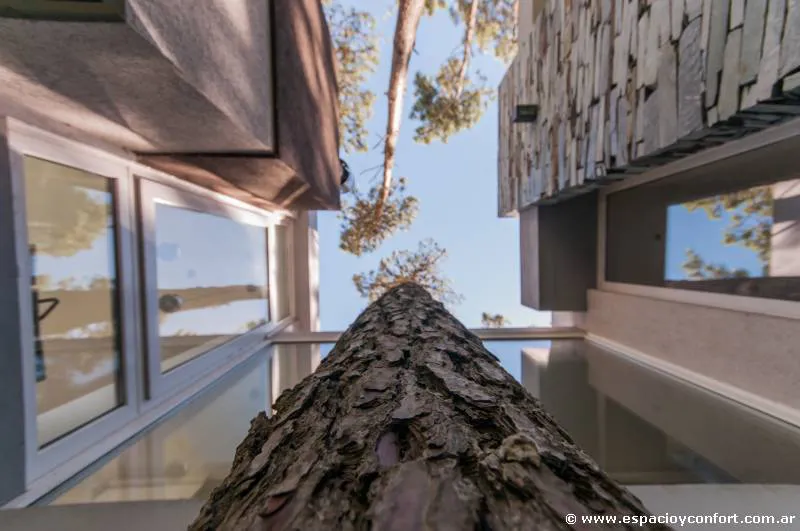 Contemporánea y dinámica