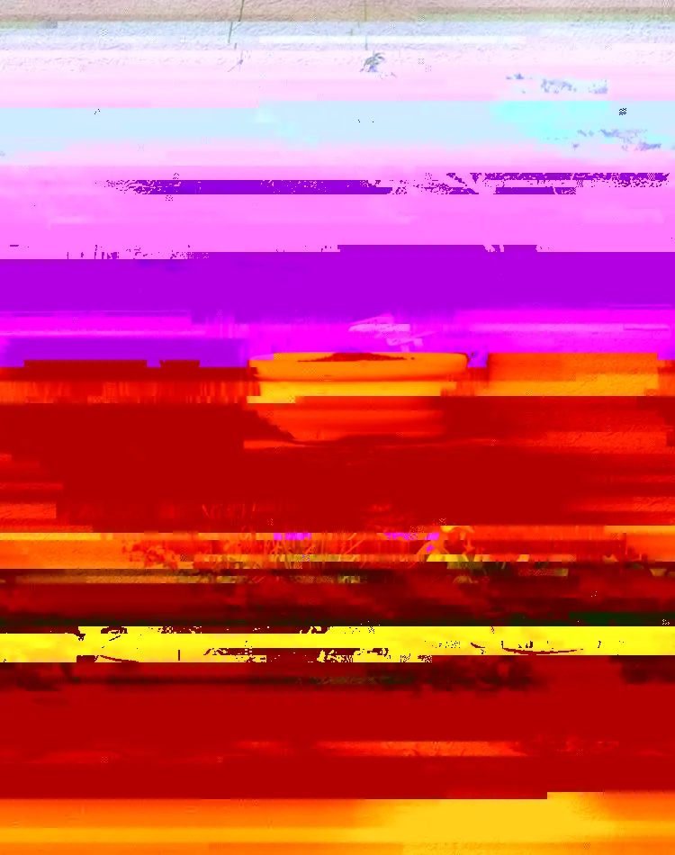 10 opciones para cultivar en casa