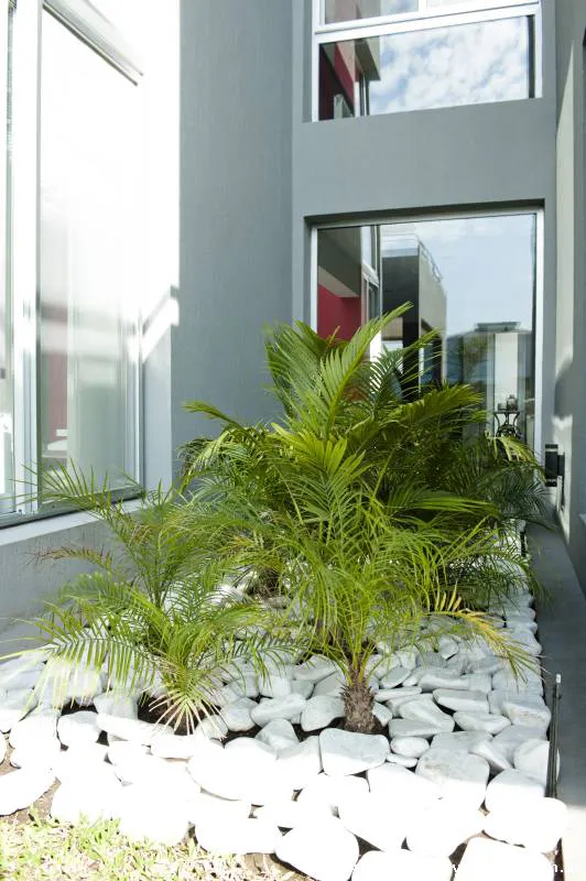 Detrás de lo simple