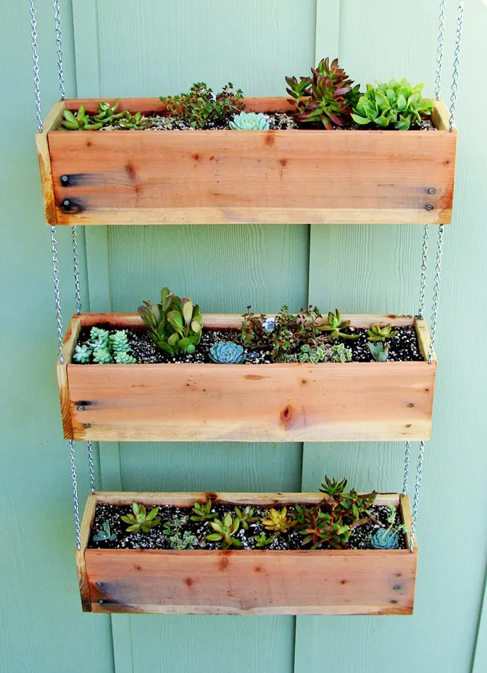 10 opciones para cultivar en casa