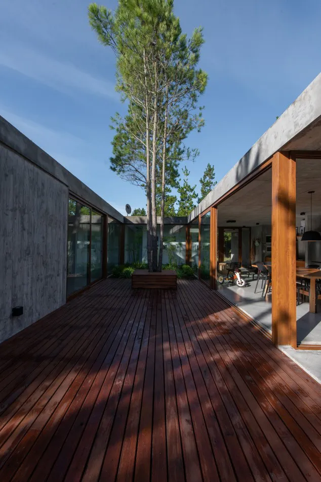El patio y la luz