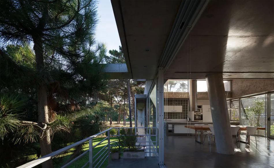 Para que la vida suceda