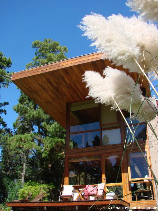 En el silencio del bosque