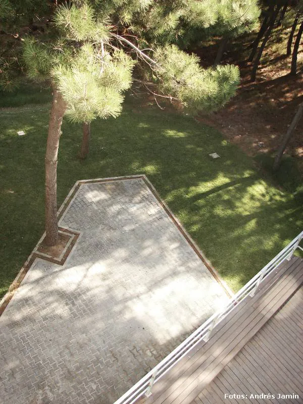 La belleza de lo paradójico