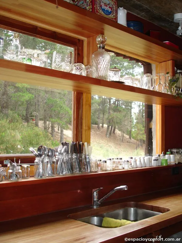 En el silencio del bosque