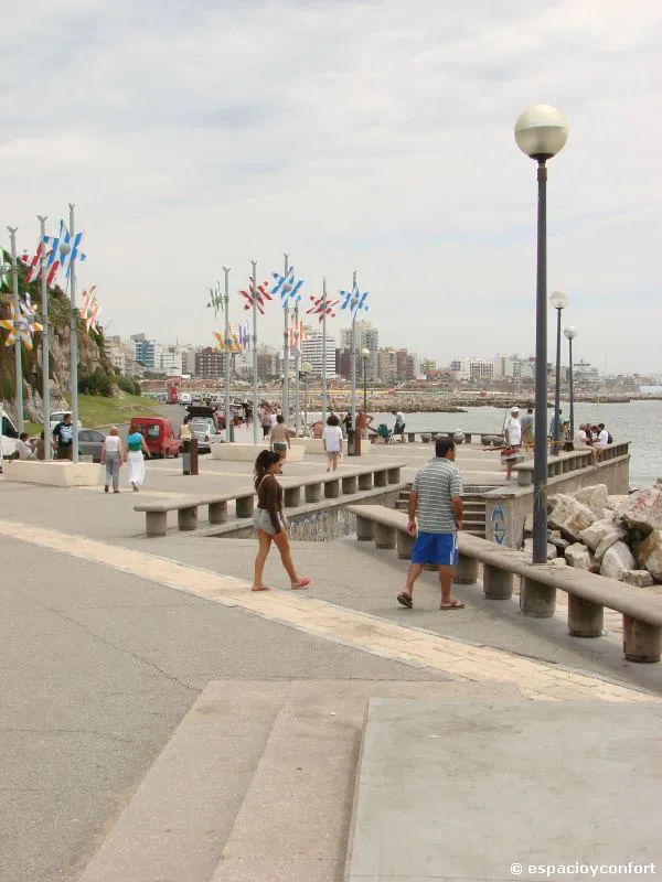Mirando el mar