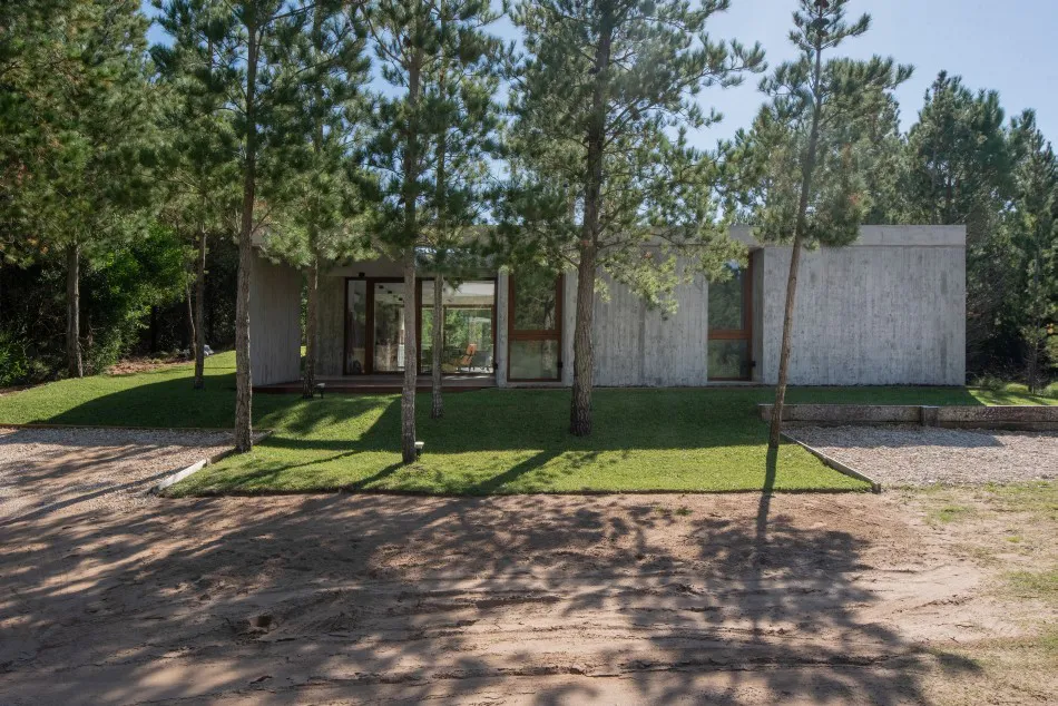 El patio y la luz