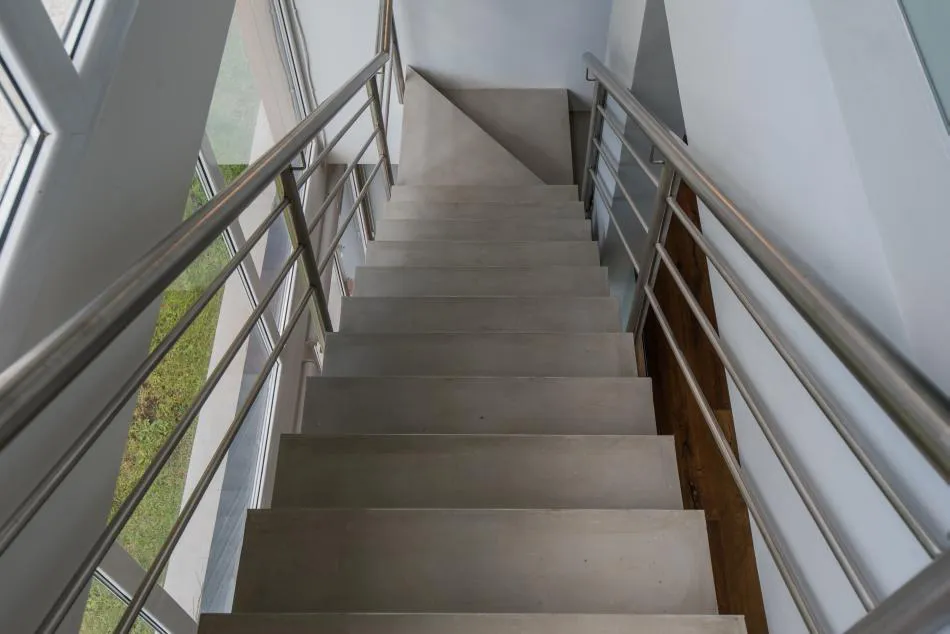 Entre el bosque y el mar