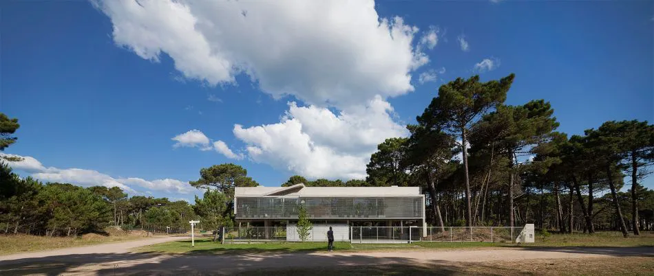 Para que la vida suceda