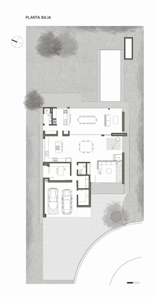 Robustez y transparencia