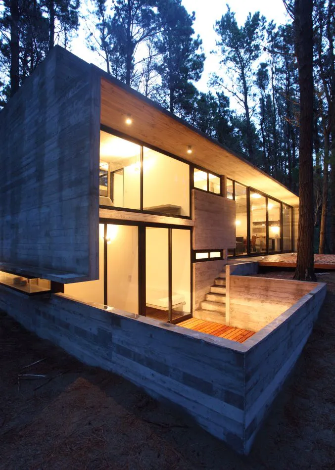 Diseñada en el bosque