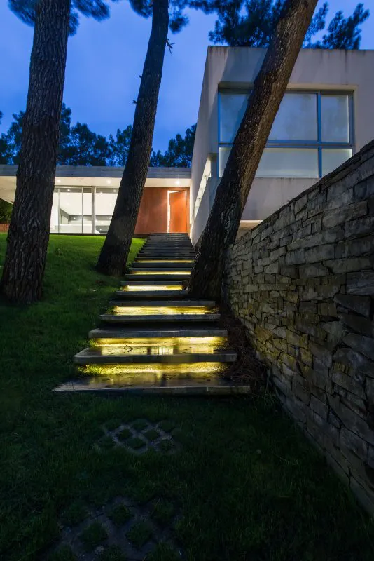 Con la poesía del bosque