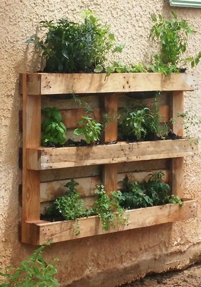 10 opciones para cultivar en casa