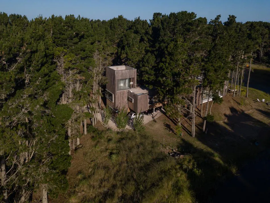 Fusión con la naturaleza