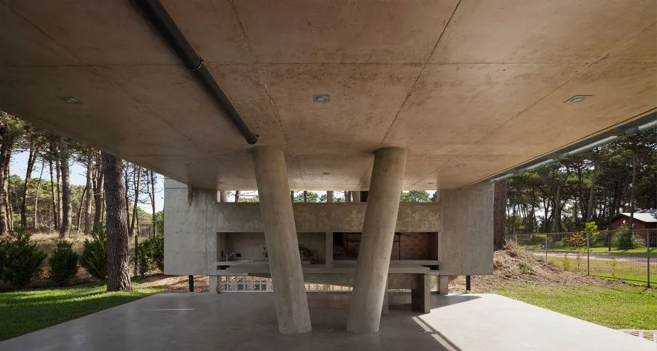 Para que la vida suceda