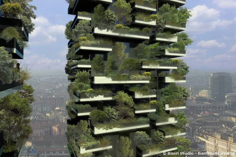 Un bosque en la ciudad
