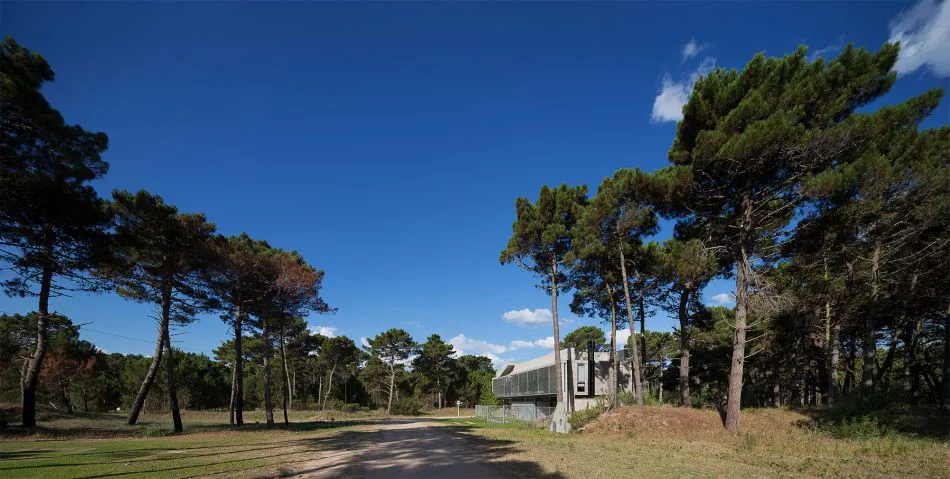 Para que la vida suceda