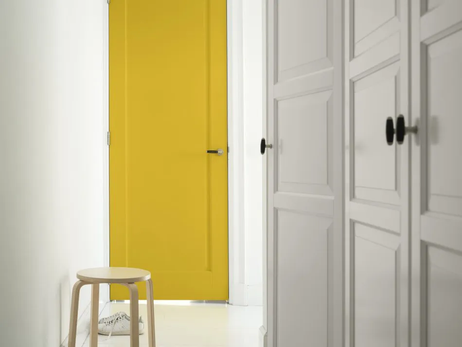 Abrile la puerta al color