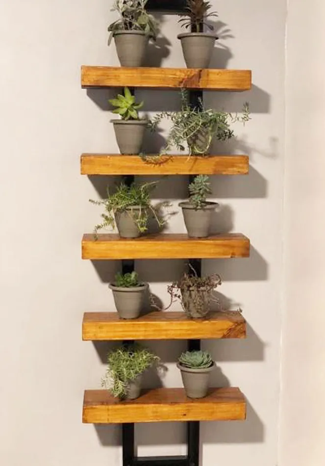 10 opciones para cultivar en casa