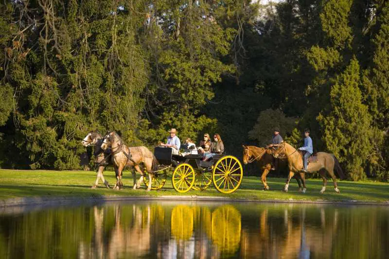 Conexión con la naturaleza