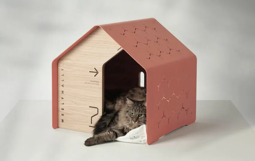 sydney-solmon-i-web-2