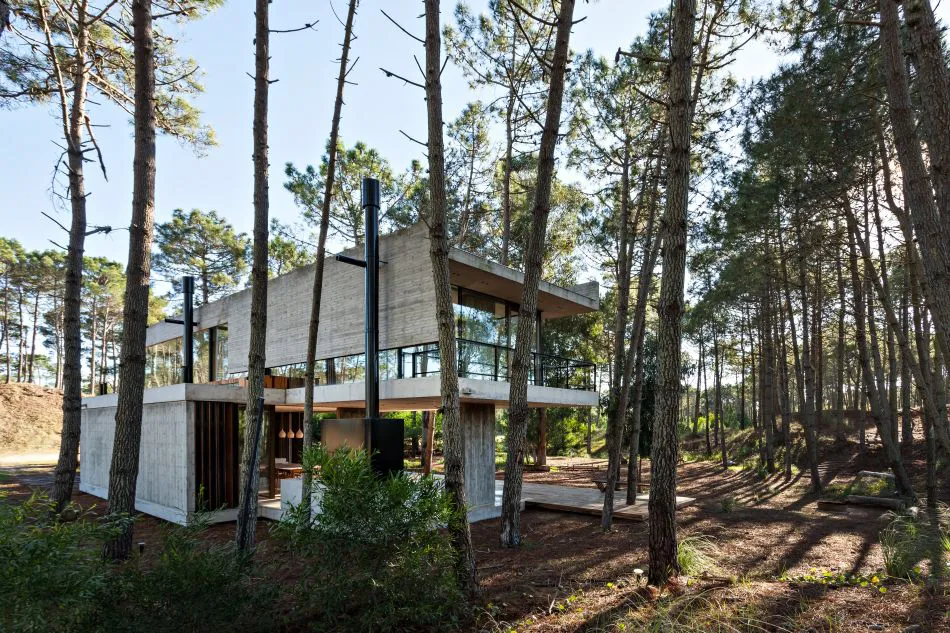 Un diseño impecable