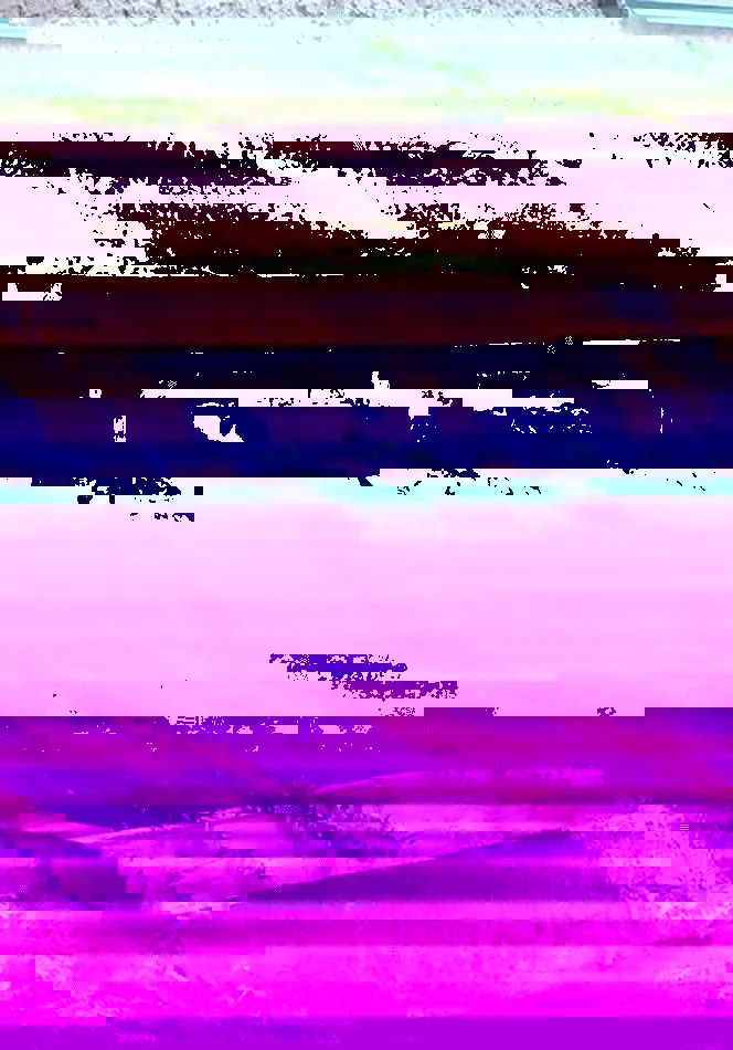 10 opciones para cultivar en casa