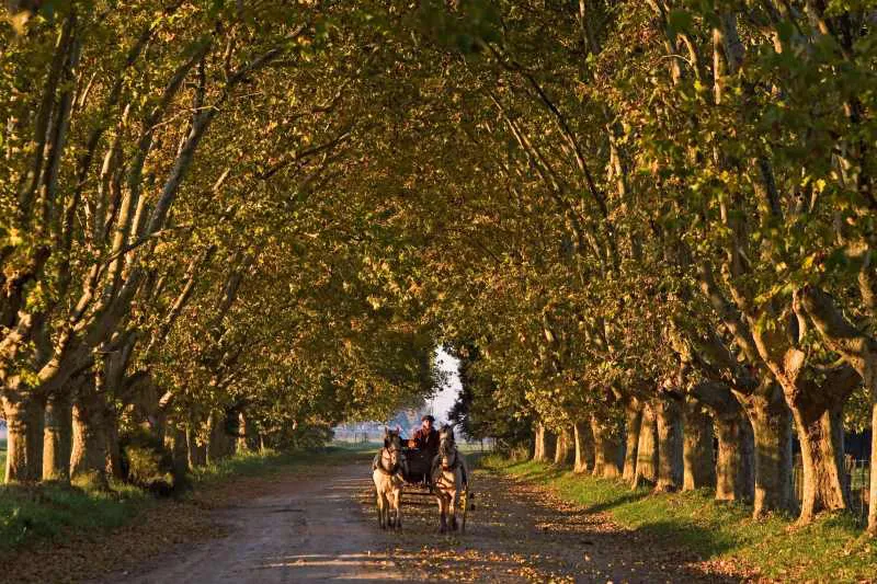 Conexión con la naturaleza