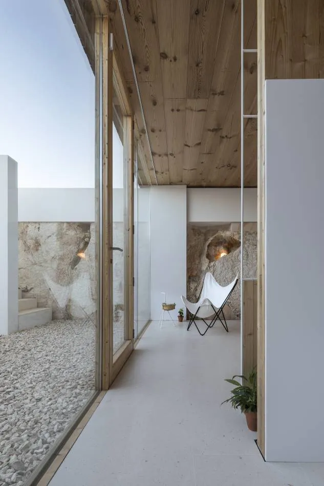 Bosc d’en Pep Ferrer