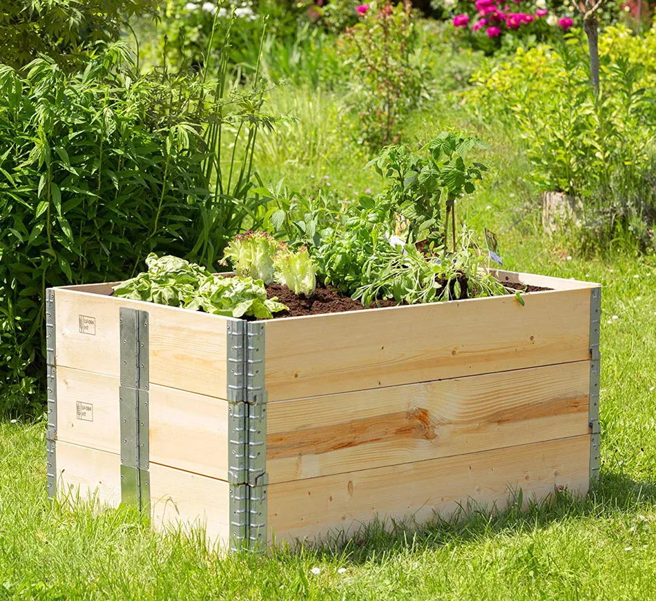 10 opciones para cultivar en casa