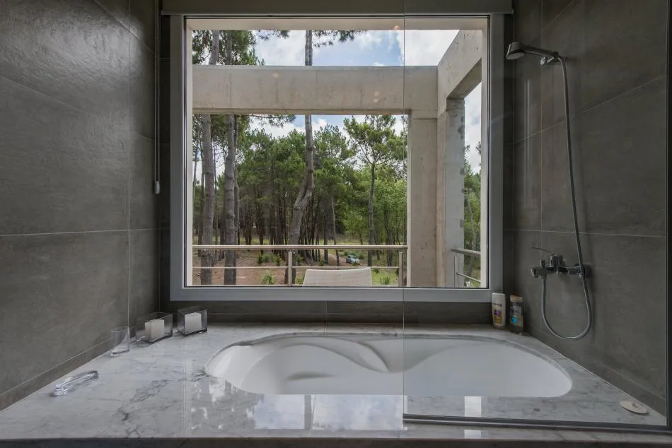 Entre el bosque y el mar