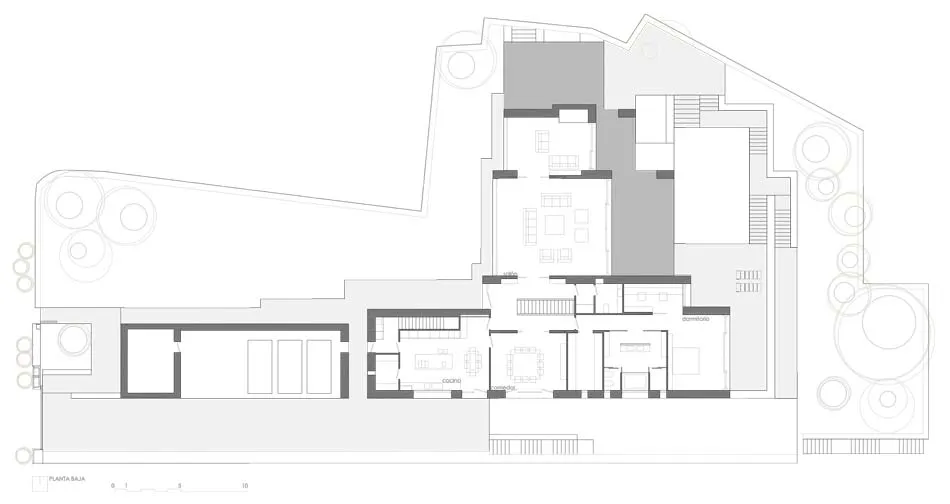 Entre la piedra y el agua