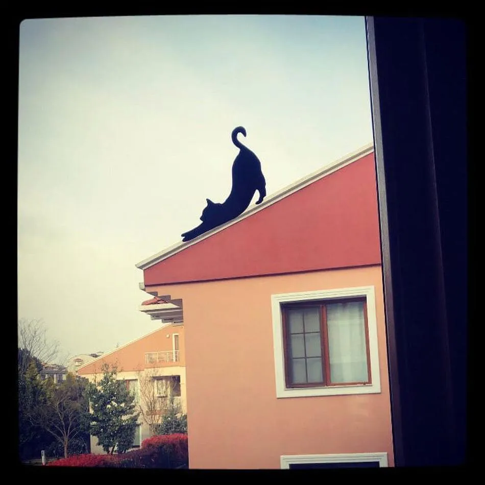 Transforma tus ventanas