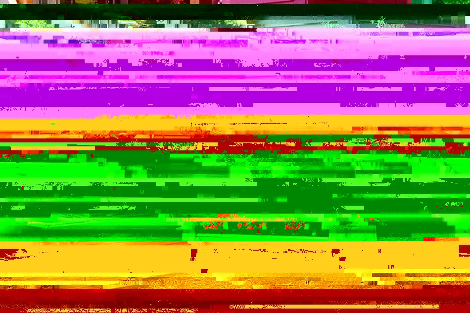 10 opciones para cultivar en casa