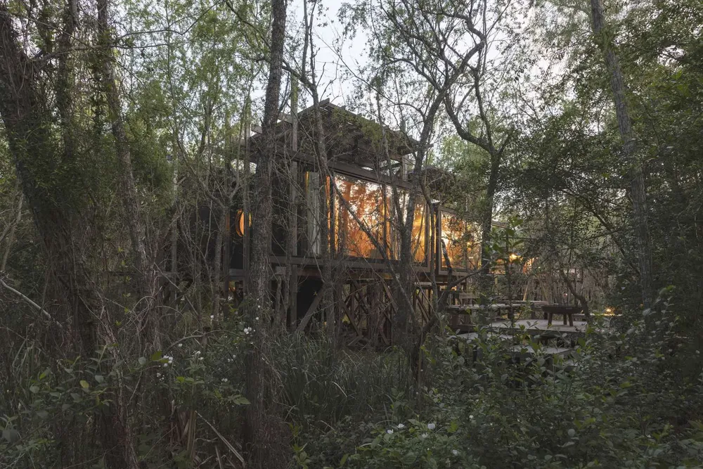casa-libelula_26