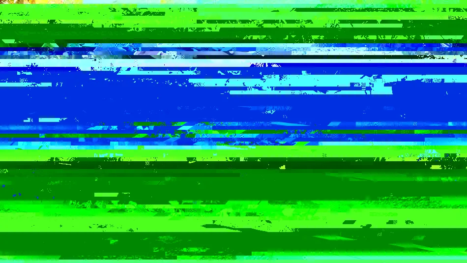 10 opciones para cultivar en casa