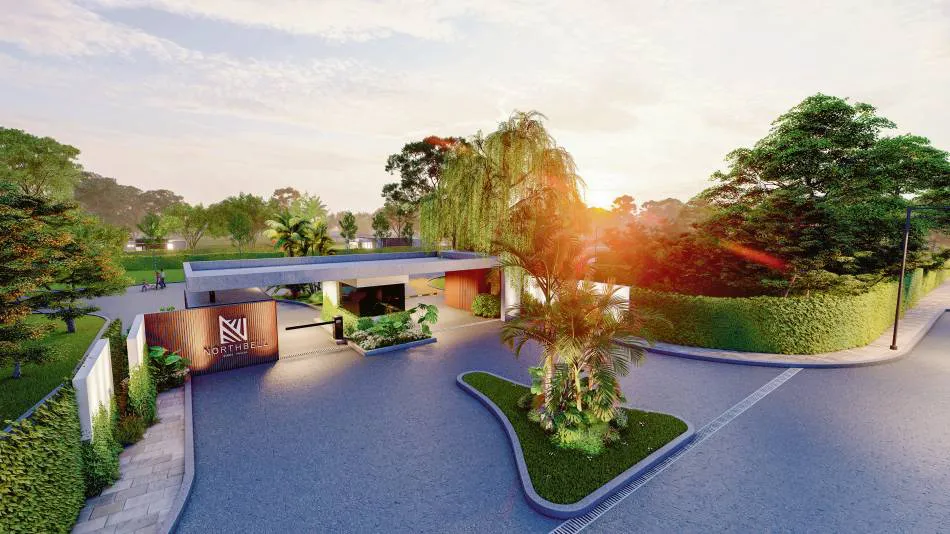 Descubrí North Bell