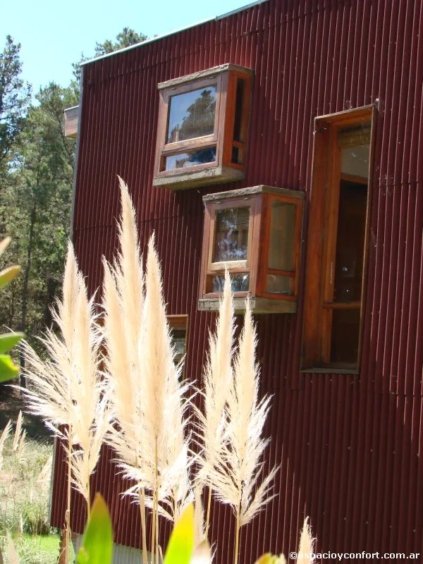 En el silencio del bosque