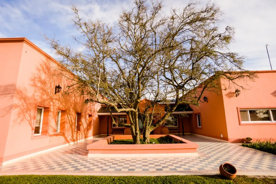 La casa del árbol