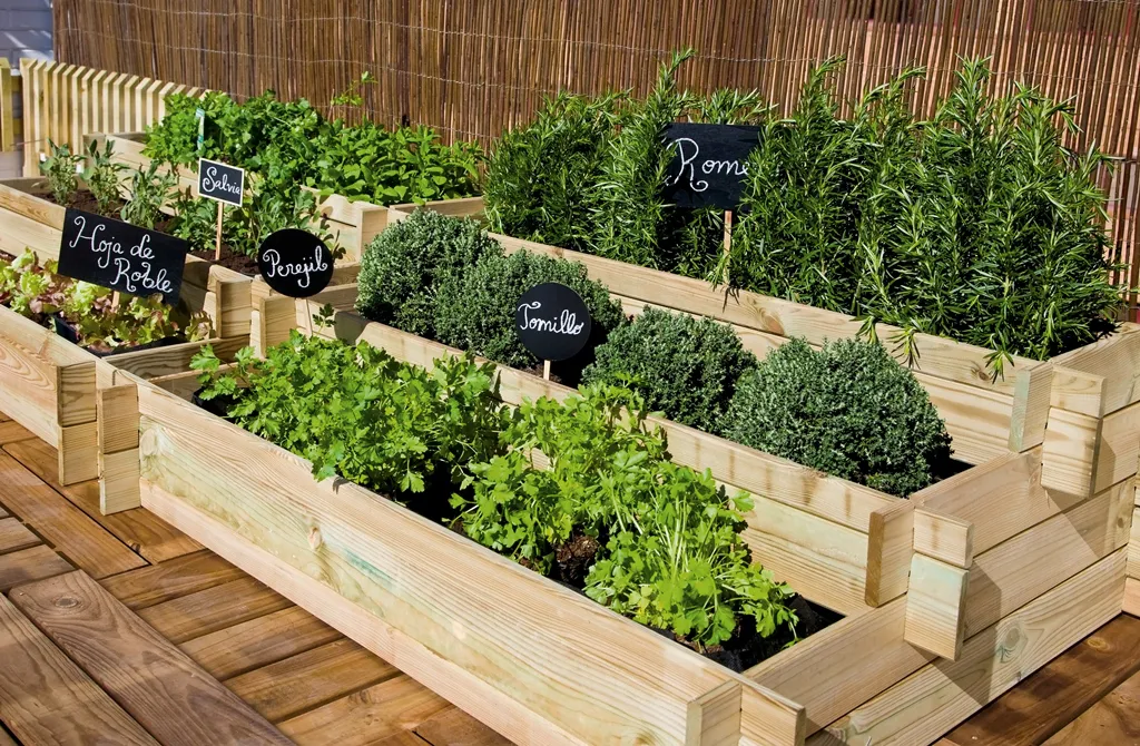 10 opciones para cultivar en casa